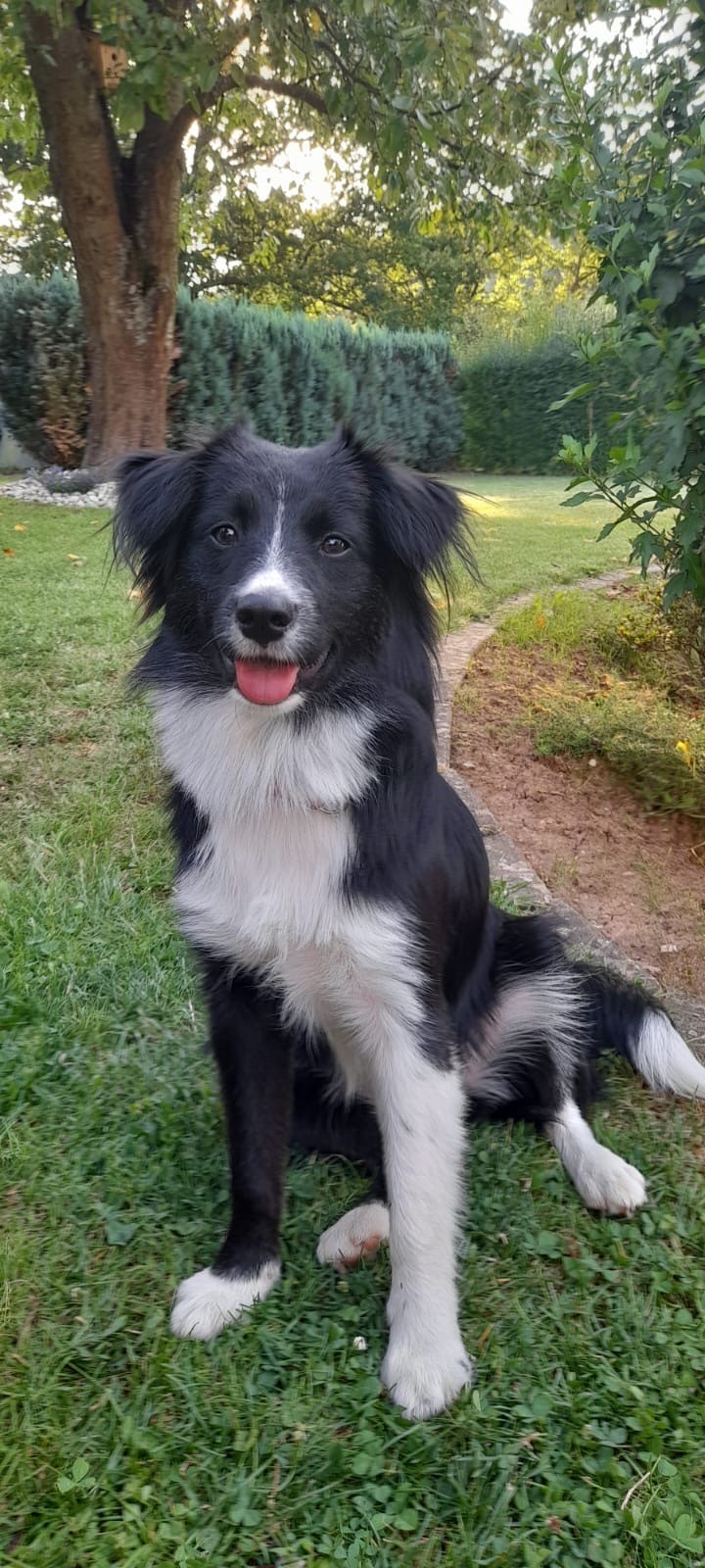 Amy im Halloween-Kostüm