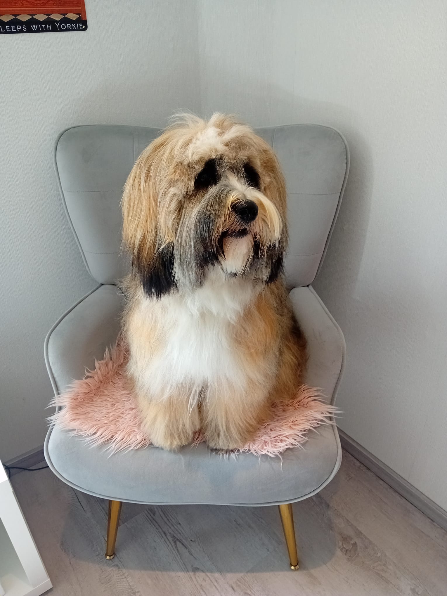 Ayla im Halloween-Kostüm