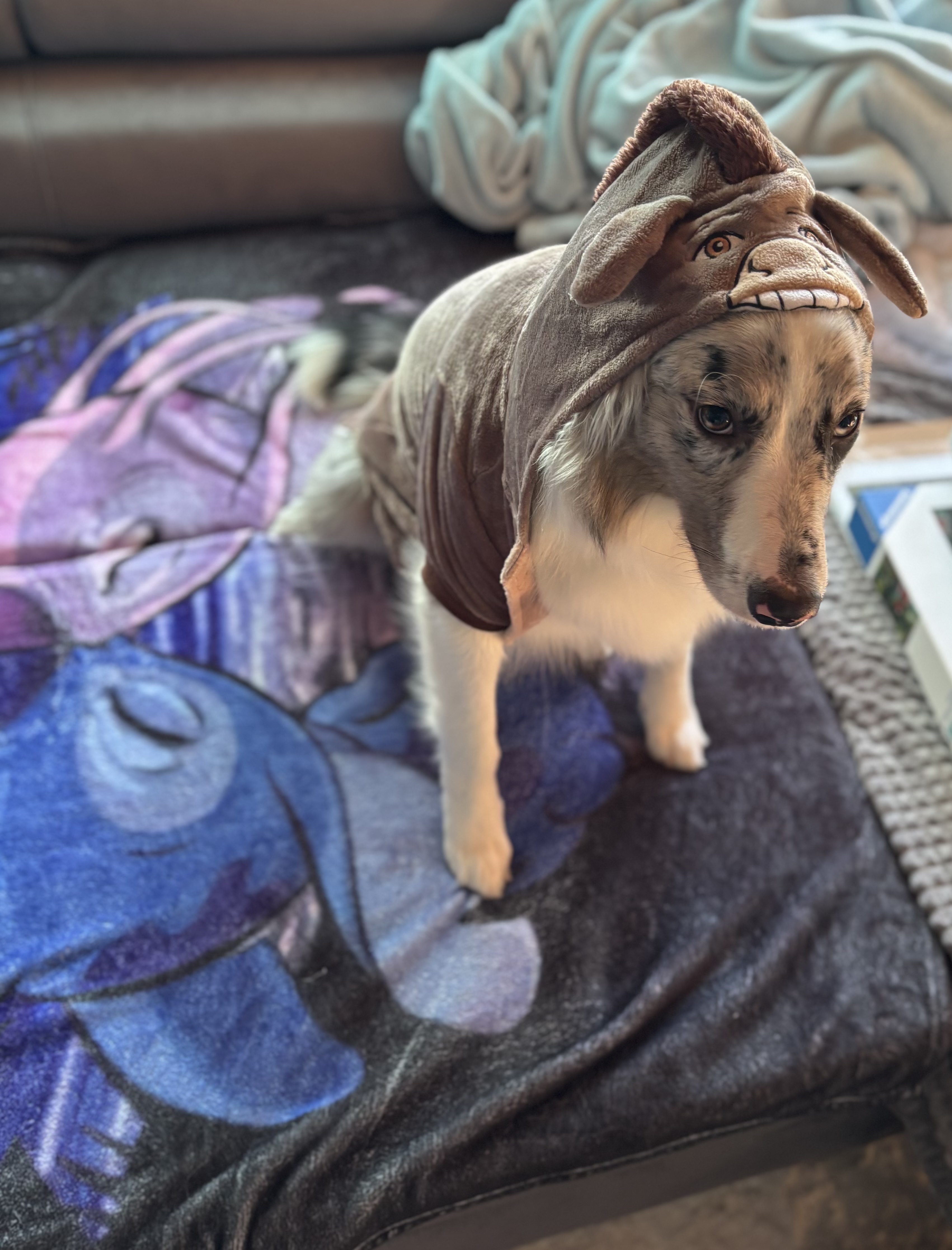 Bonnie im Halloween-Kostüm